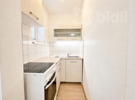 Pronájem bytu, 1+1, 28 m²