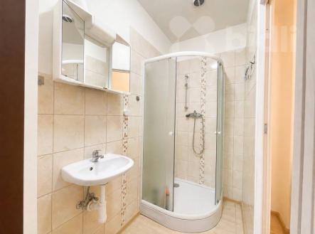 Pronájem bytu, 1+1, 28 m²