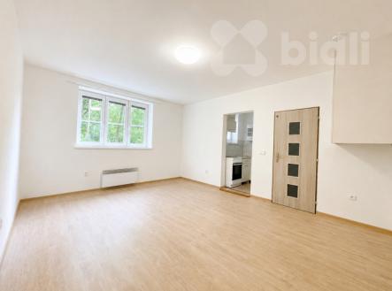 Pronájem bytu, 1+1, 28 m²