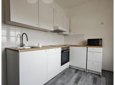 Pronájem bytu, 2+1, 55 m²