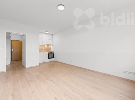 Pronájem bytu, 1+kk, 30 m²