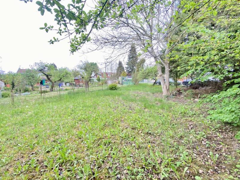 Prodej zahrady 271m2, Pardubice