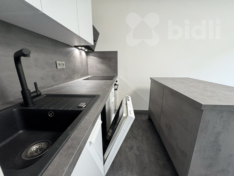 Nabízíme nově zrekonstruovaný byt 2+kk k pronájmu, Děčín