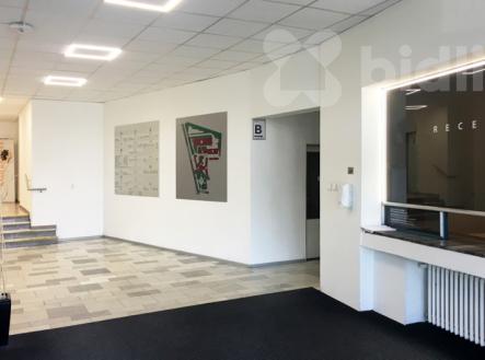 Pronájem kanceláře, 30 m²