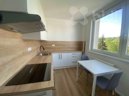Pronájem bytu, 1+1, 37 m²