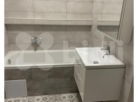 Pronájem bytu, jiný, 96 m²