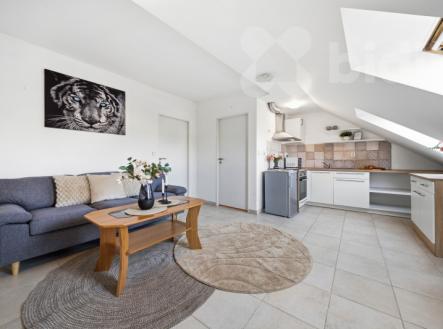 Prodej bytu, 2+kk, 60 m²