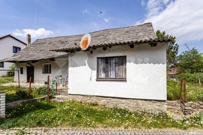 Dražíč