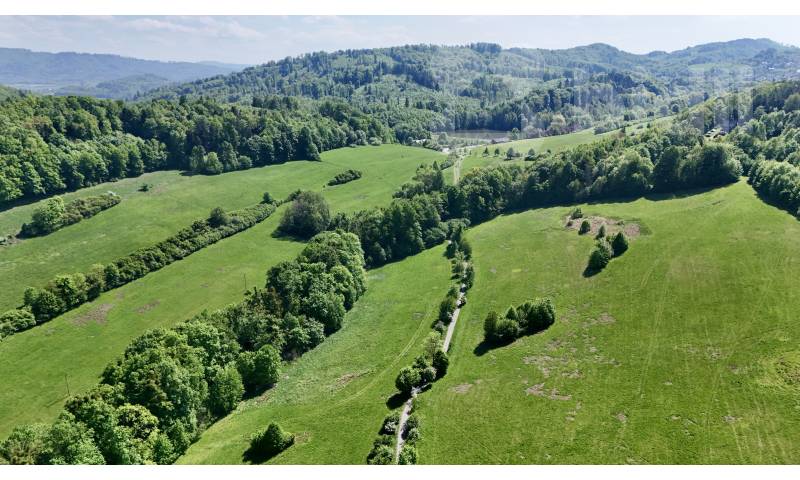 Prodej pozemku 7 411 m2, Nový Jičín - Horní Předměstí