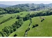 Prodej pozemku, trvalý travní porost, 7 411 m²