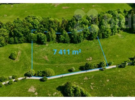 Prodej pozemku, trvalý travní porost, 7 411 m²
