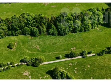 Prodej pozemku, trvalý travní porost, 7 411 m²