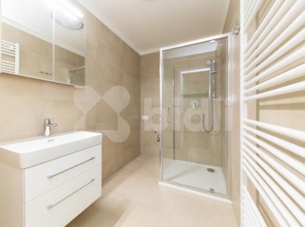 Pronájem bytu, 2+kk, 53 m²