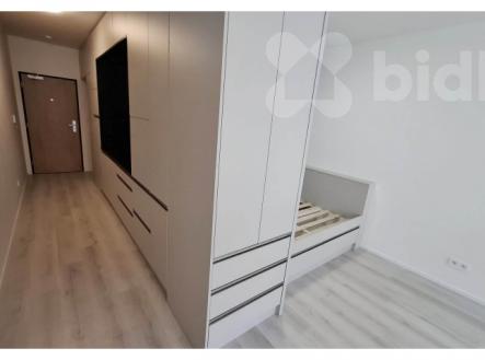 Pronájem bytu, 1+kk, 34 m²