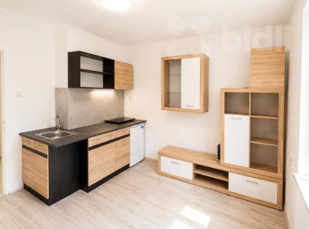 Pronájem bytu, garsoniéra, 17 m²