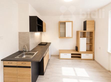 Pronájem bytu, garsoniéra, 17 m²