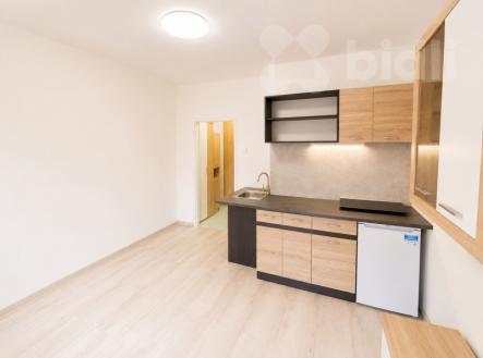 Pronájem bytu, garsoniéra, 17 m²
