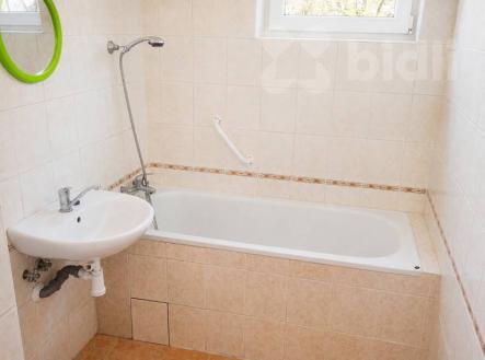 Pronájem bytu, 1+1, 55 m²