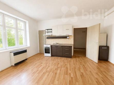 Pronájem bytu, 1+1, 55 m²