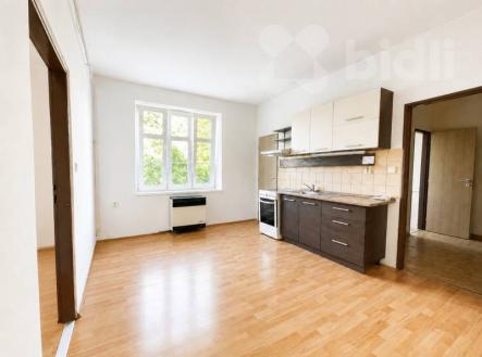 Pronájem bytu, 1+1, 55 m²