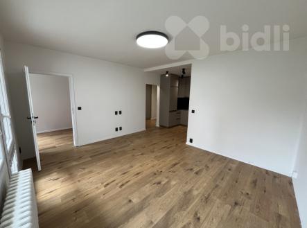 Pronájem bytu, 2+kk, 49 m²