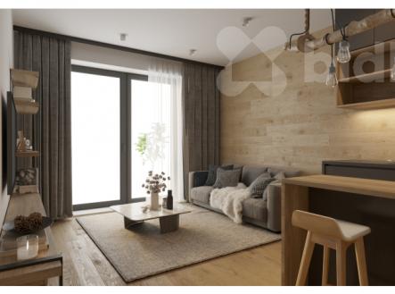 Prodej bytu, 1+kk, 29 m²