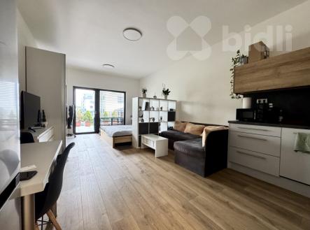 Pronájem bytu, 1+kk, 50 m²
