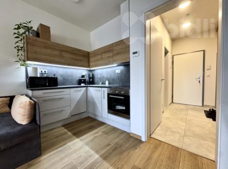 Pronájem bytu, 1+kk, 50 m²