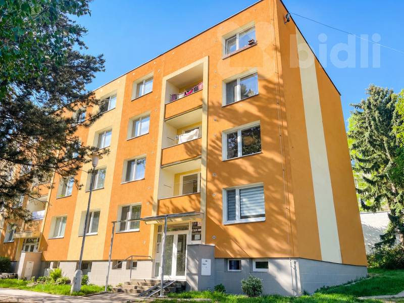Pronájem bytu 1+1, 33m2, ul. Vondrákova