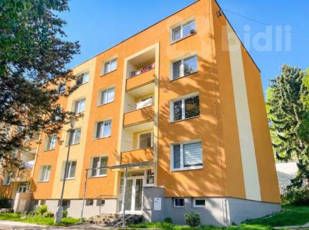Pronájem bytu, 1+1, 31 m²