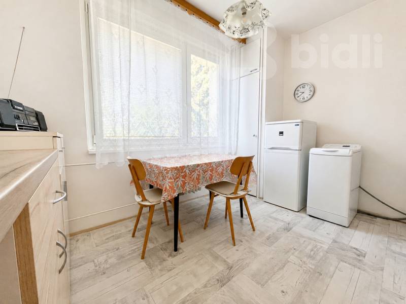 Pronájem bytu 1+1, 33m2, ul. Vondrákova