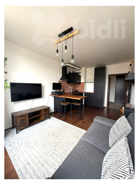 Moderní 2+kk s velkým balkonem v novostavbě - Holešovice 
