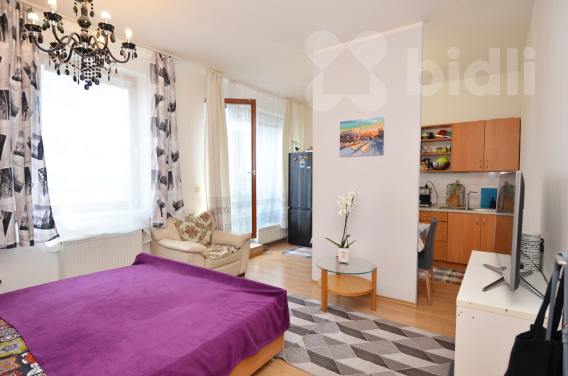 Pronájem bytu 2+kk/T, 65 m2, Praha Žižkov