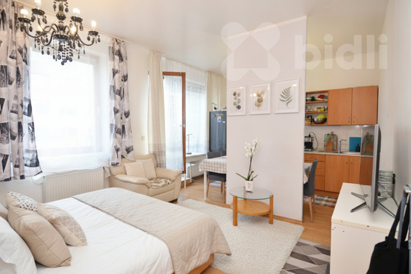 Pronájem bytu 2+kk/T, 65 m2, Praha Žižkov
