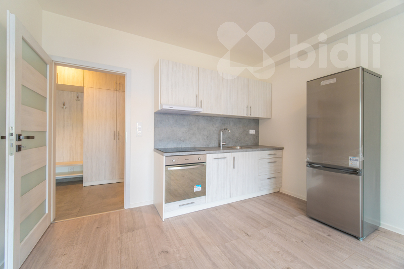 Pronájem bytu 2kk, 45 m2, Toužimská, Praha 9