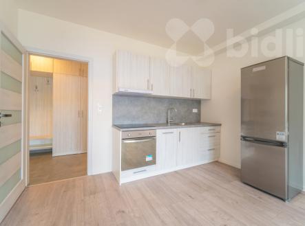 Pronájem bytu, 2+kk, 47 m²