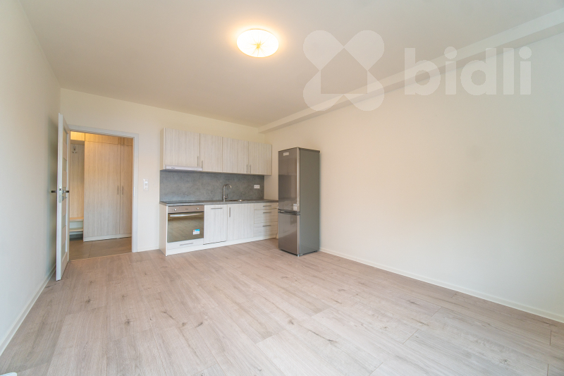 Pronájem bytu 2kk, 45 m2, Toužimská, Praha 9