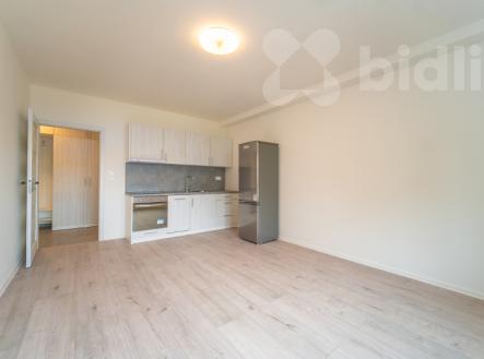 Pronájem bytu, 2+kk, 47 m²