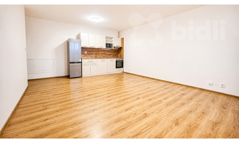 Pronájem bytu 2kk / B, 52 m2 / 4 m2, Chýně