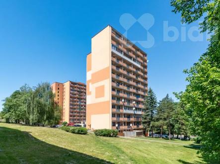Prodej bytu, 2+kk, 49 m²
