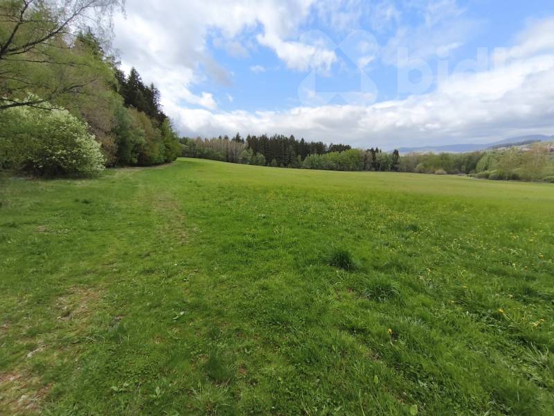 Prodej pozemku 7 805 m2, Jenišov, Horní Planá