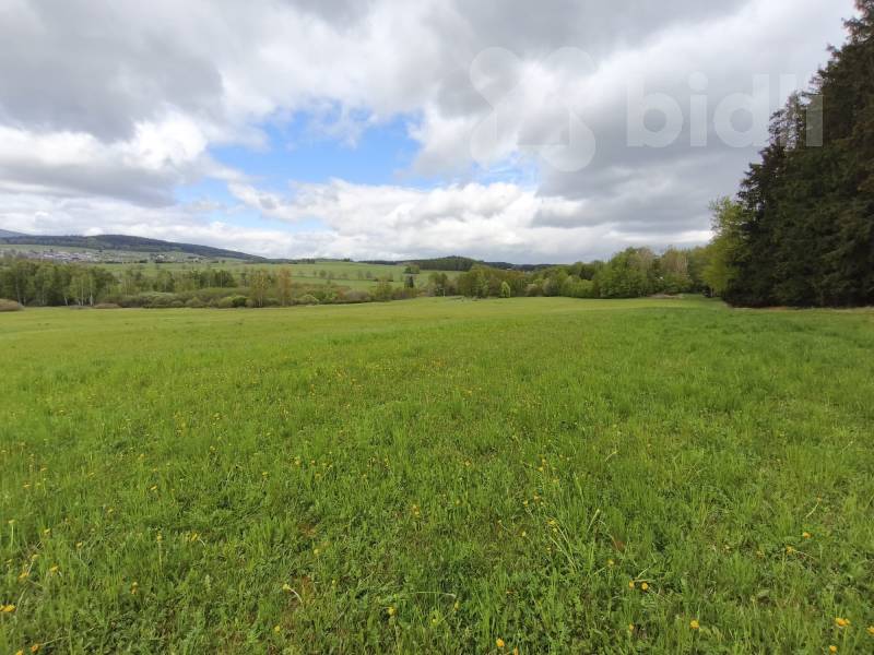 Prodej pozemku 7 805 m2, Jenišov, Horní Planá