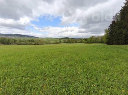 Prodej pozemku, trvalý travní porost, 7 535 m²