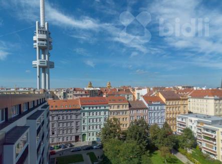 Pronájem bytu, 1+kk, 21 m²