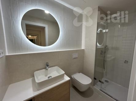 Pronájem bytu, 2+kk, 50 m²