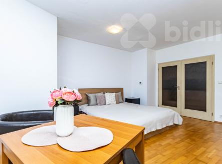 Prodej bytu, 1+1, 49 m²