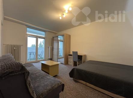 Pronájem bytu, 1+1, 32 m²