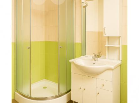 Pronájem bytu, 2+1, 55 m²