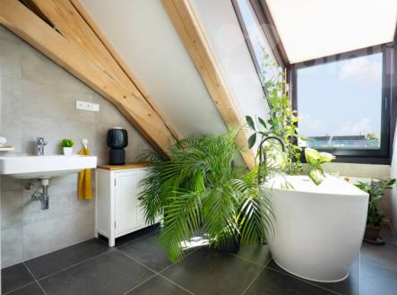 Prodej historického objektu, 8 484 m²