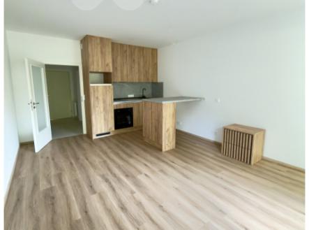 Pronájem bytu, 1+kk, 37 m²